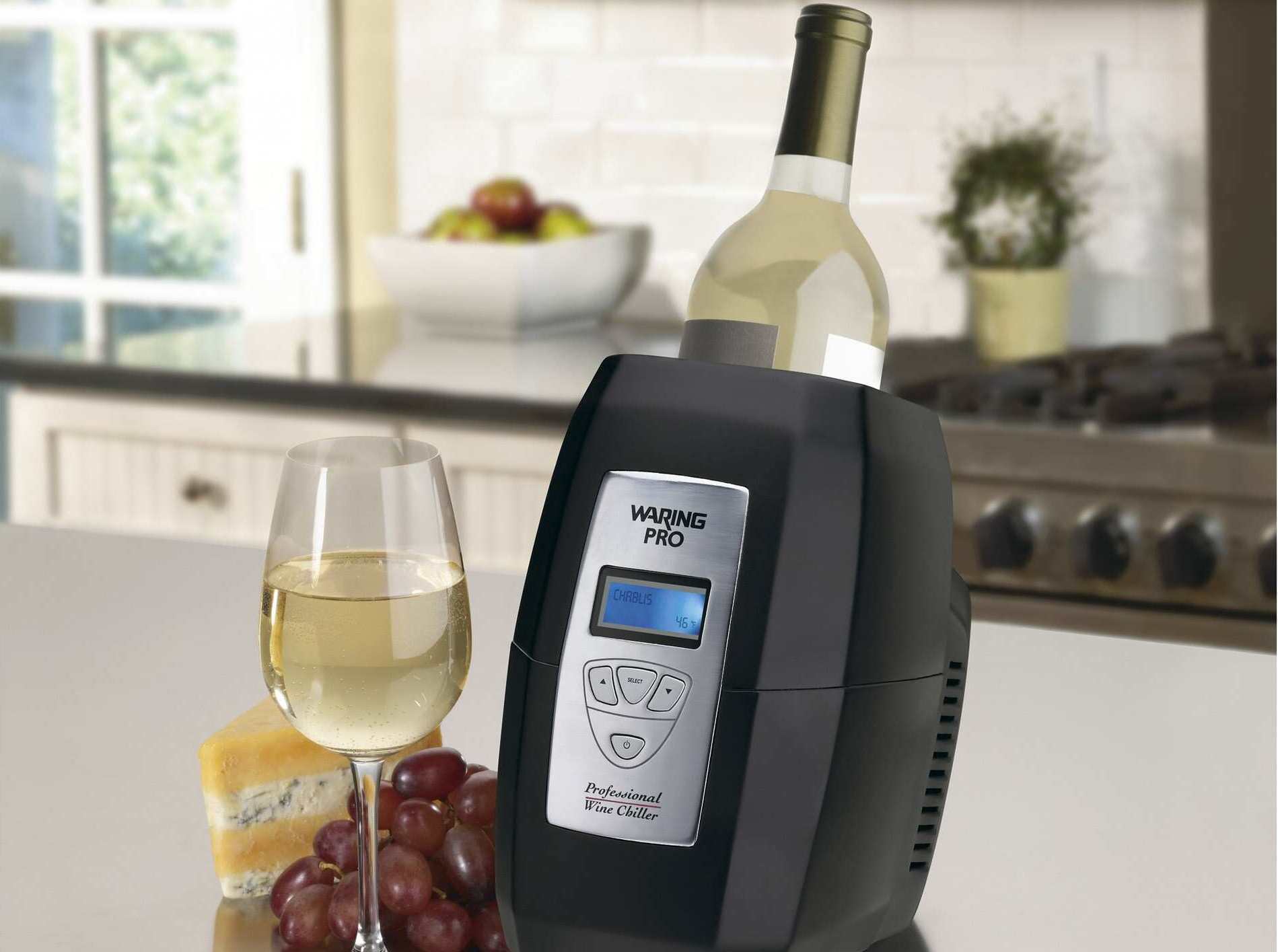 5 Best Wine Chillers Reviewed in 2020 SKINGROOM