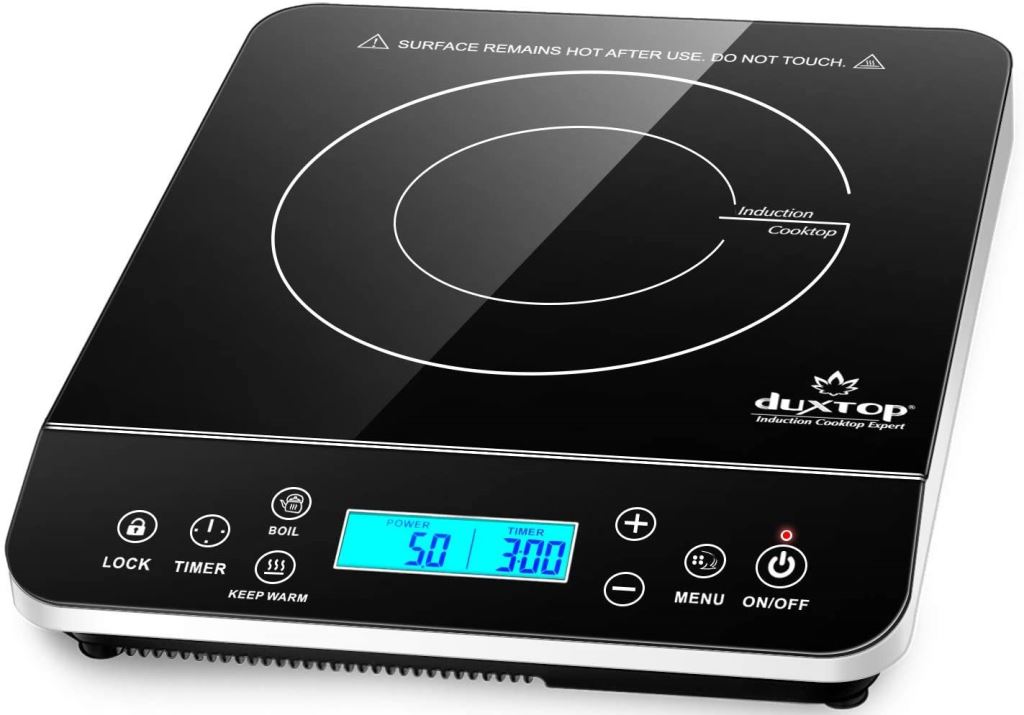 5 Best Portable Induction Cooktops Reviewed in 2021